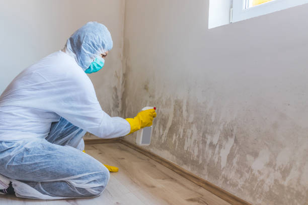 Hvac And Air Duct Mold Remediation inspection of HVAC system in Dauphin